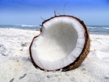 coconut-on-a-beach.jpg